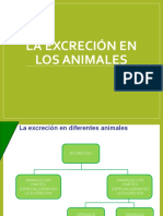 laexcrecinenlosanimalesslide-171018193750 (1).pdf