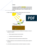 Tarea de Ciencias Naturales PDF