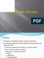 3-Structura Celulei