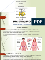 Sistema Endocrino