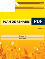Plan de Rehabilitación PDF