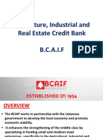 Agriculture, Industrial and Real Estate Credit Bank B.C.A.I.F