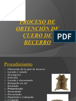 Proceso de obtención de cuero de becerro.pptx