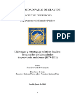 5) Liderazgos y Estrategias Políticas Locales PDF
