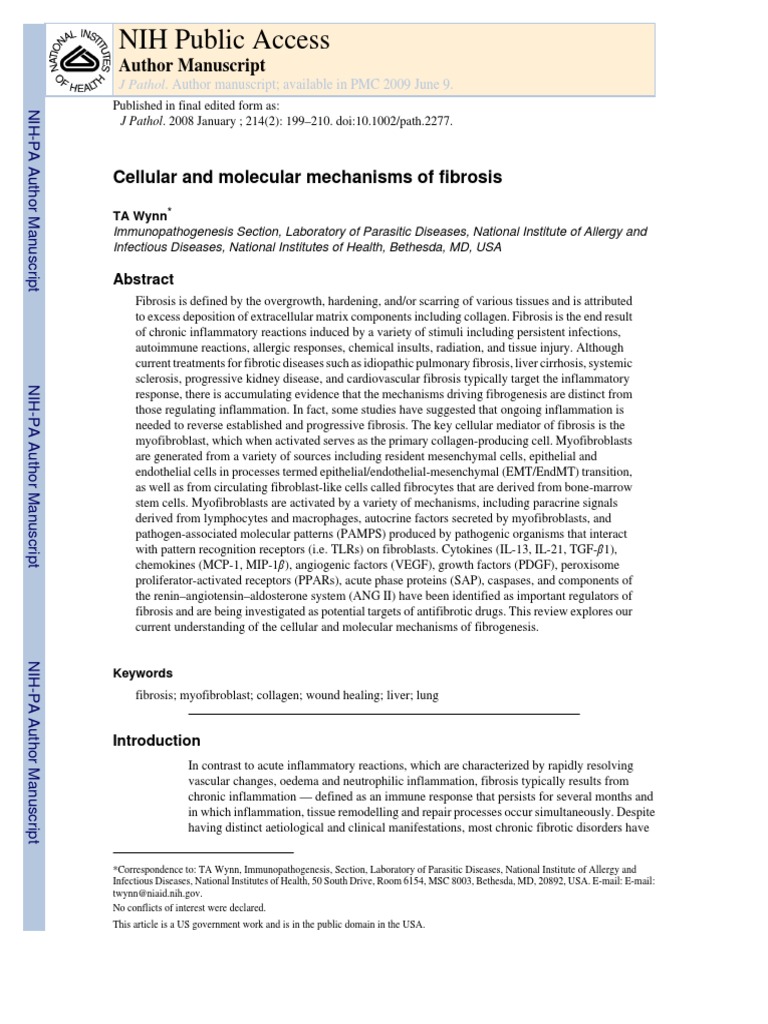Cellular and Molecular Mechanisms of Fibrosis | PDF | Transforming ...
