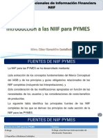 25 Introduccion A Las NIIF para PYMES Ex Final