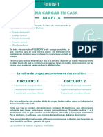 PDF FUERTAFIT - CARGAS CASA Nivel 6