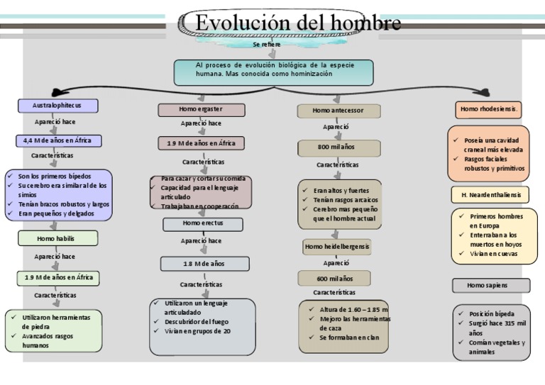 Evolución Del Hombre | PDF | Homo | Evolución humana