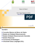 aula-bd-2010.pdf