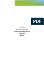Pedro - Wistuba - S8 - Proyecto - Final Introducción A Los Procesos Industriales