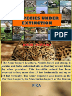 5 Species Under Extinction
