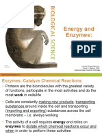 Energy and Enzymes:: Lecture Presentation by Cindy S. Malone, PHD