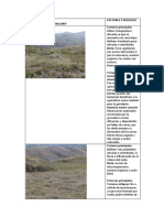 Naturaleza y Clasificación Del Material Madre Del Suelo