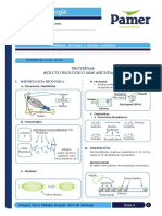 Biologia - 2 - Proteínas, Enzimas y Ácidos Nucleicos PDF