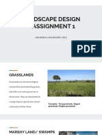 Landscape Assi 1 PDF