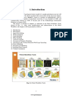 Petrel Manual PDF