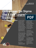 Online Lean Six Sigma Black Belt Upgrade Training: Quality - Support - Innovation