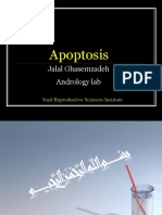 Apoptosis: Jalal Ghasemzadeh Andrology Lab