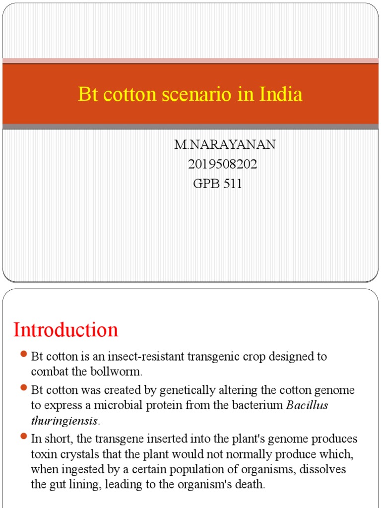 Bt Cotton Scenario In India M Narayanan 2019508202 Gpb 511 Pdf
