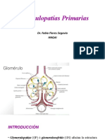 Glomerulopatias 