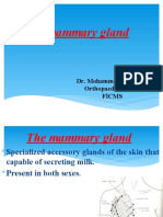 The Mammary Gland: Dr. Mohammed Sh. Ahmed Orthopaedic Surgeon Ficms