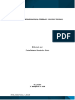 Protocolo Seguridad Riesgo Eléctrico