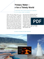Primary Water For A Thirsty World - GregO'Neill2 PDF