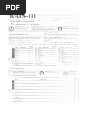 WAIS-III - Protocolo | PDF
