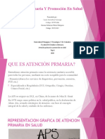 Exposicion de at Prim Salud