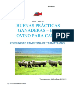 Buenas Practicas Ovinos