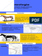 Infografia Maria Antonia - Juan Manuel Rebellon