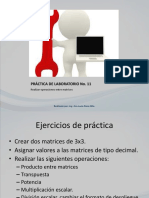 Práctica 11 PDF