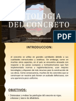 PATOLOGIA DEL CONCRETO Trabajo Exposicion