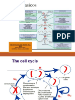 ANTINEOPLASICOS VELA.pptx