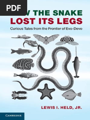 Held JR L.I. - How The Snake Lost Its Legs - Curious Tales From