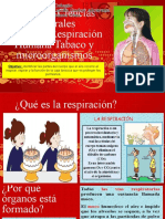 Clase 10: Ciencias Naturales - Respiración Humana