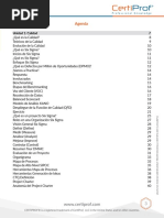 1 - Libro Oficial Lean Six Sigma Green Belt - CertiProf - CGI | PDF ...