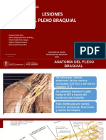 Lesiones Del Plexo Braquial