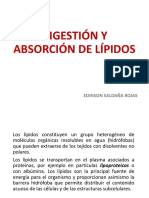 001-DIGESTIÓN Y ABSORCIÓN DE LÍPIDOS.14.pdf