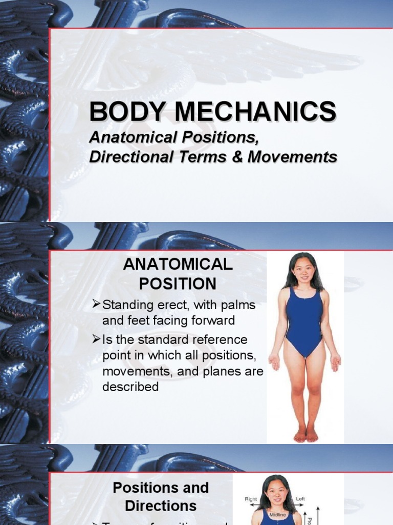 Anatomical Positions and Movements Guide | PDF | Anatomical Terms Of ...