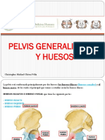 Anatomia Pelvis 1