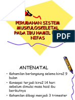 Perubahan Sistem Muskuloskeletal Pada Ibu Hamil Dan Nifas