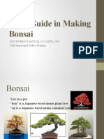 Basic Guide in Making Bonsai
