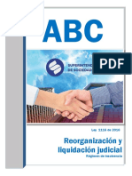 ABC Régimen de insolvencia.pdf
