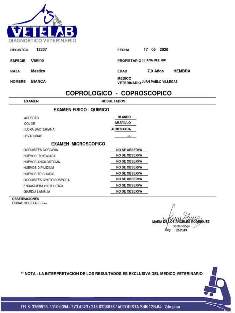 Resultados del Examen Coprológico Canino | PDF