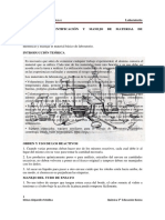 Práctica Laboratorio PDF