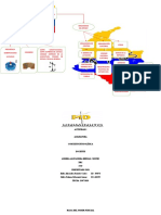 Mapa Mental Organizacion Del Estado