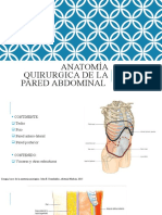 Anatomia Pared Abdominal