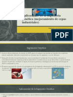 Aplicaciones de La Ingeniería Genética