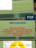 Big Data Hype
